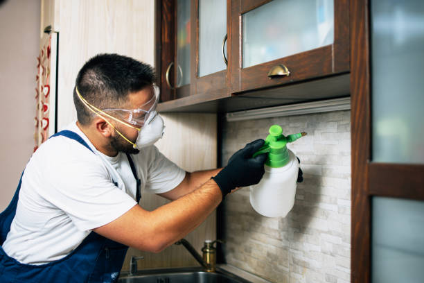 Best Pest Removal Services  in Portage Lakes, OH