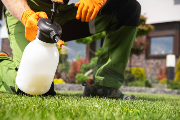 Best Mosquito Control Services  in Portage Lakes, OH