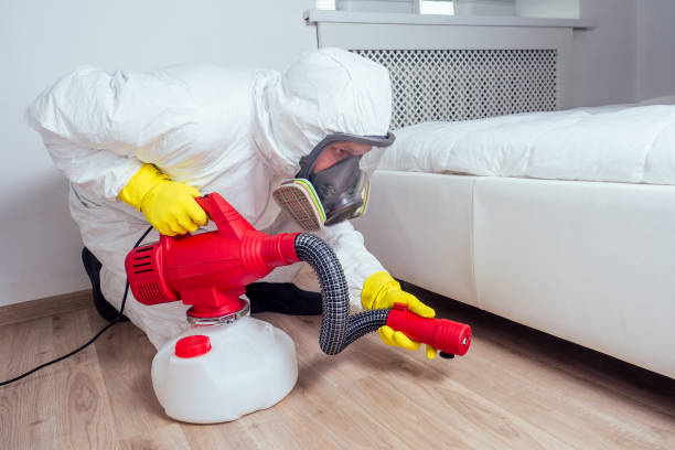 Best Affordable Pest Control Services  in Portage Lakes, OH