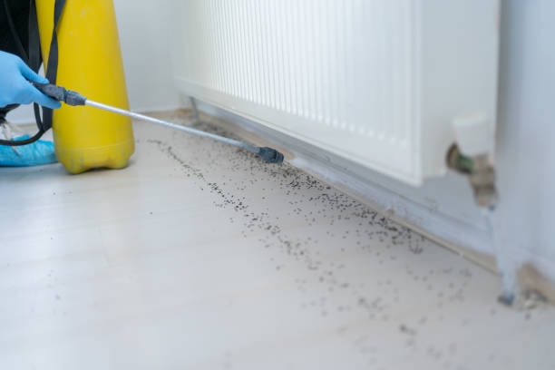 Best Cockroach Control Services  in Portage Lakes, OH