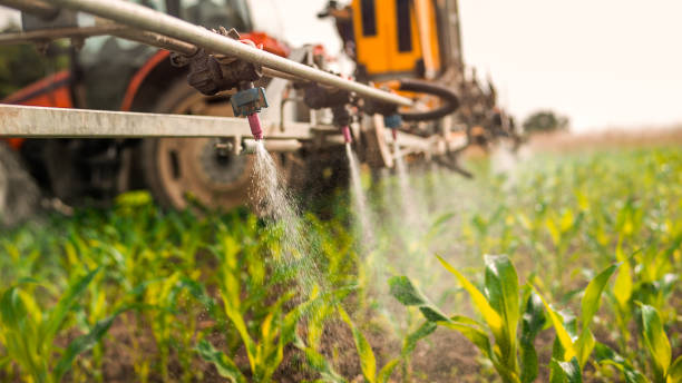 Best Pest Control Treatment  in Portage Lakes, OH